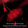Tống Tử Hân