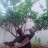khanhblog123