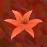 Burnt Sienna