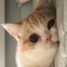 miaomiao2196