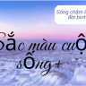 kimngan1482004