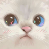 ANHANHCUKI