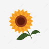 Sunflower333