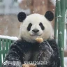 Heaven Zhang