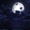 Look At The Moon