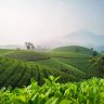 Bỏ lỡ nụ cười