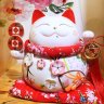 Mèo Thần Tài