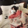 HOA ANH TÚC.66