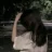Lyly67
