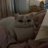 Bixax